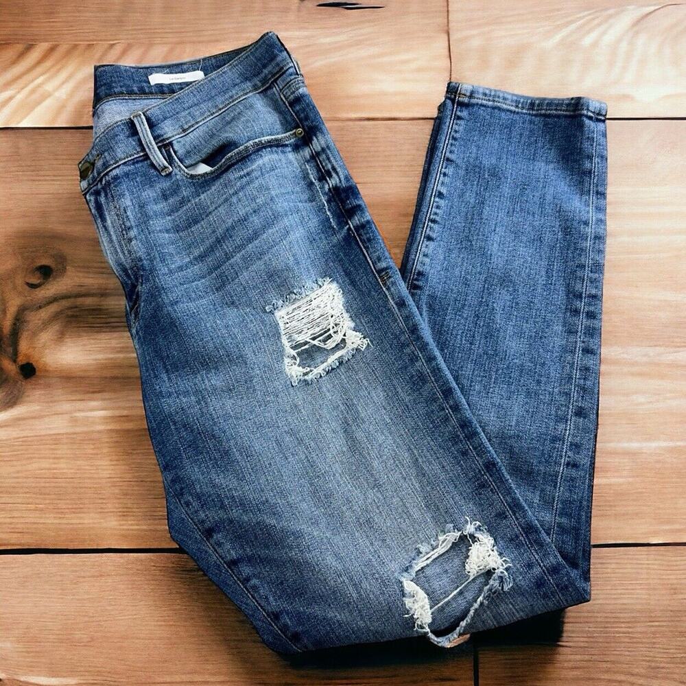 Frame Le Garçon Boyfriend Denim Distressed Jeans Sz 30 Dunnmore LGJ6540